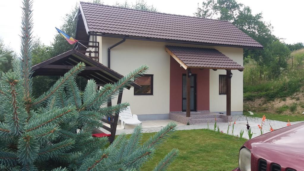 Cabana 7 Brazi Пояна-Мэрулуй Экстерьер фото